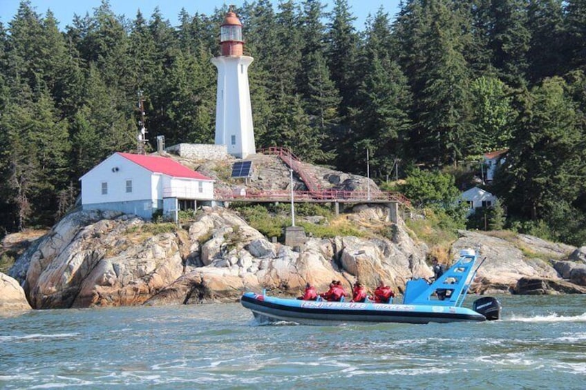 Vancouver City and Seals Scenic Boat Tour
