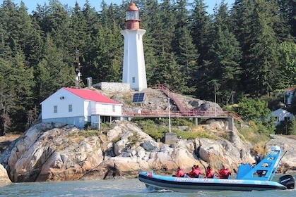 Schilderachtige boottocht naar Vancouver en zeehonden