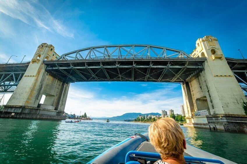 Vancouver City and Seals Scenic Boat Tour