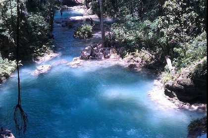 Privat rundtur av Blue Hole från Ocho Rios