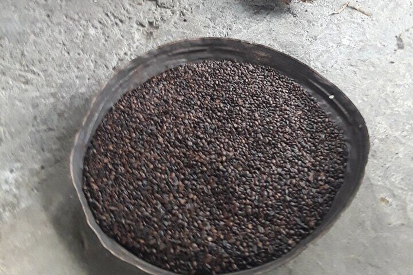 Fresh Roast Coffee Beans