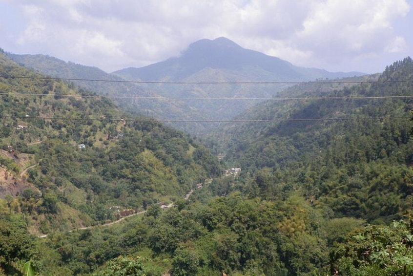 Blue Mountain Jamaica