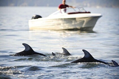 Vancouver 17-Foot 90hp Self-Driven Boat Rental