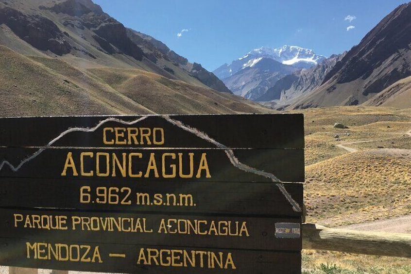 Excursion to High Andes in Mendoza (Alta Montaña)