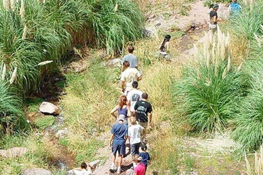 Trekking in Vallecitos, Mendoza