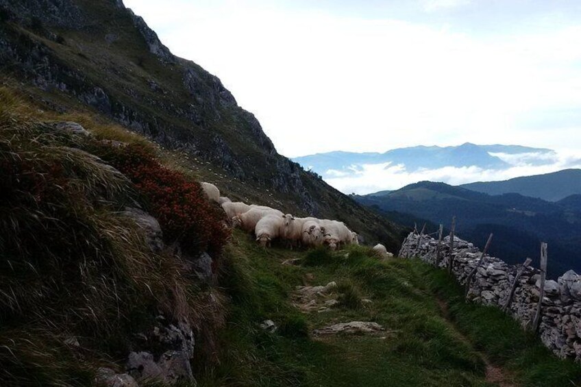 Mount Ernio Hike From San Sebastian