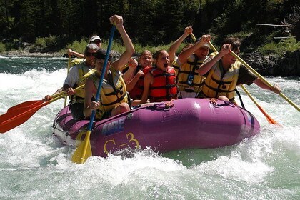 Whitewater Rafting Small Boat Adventure Snake River Jackson Hole