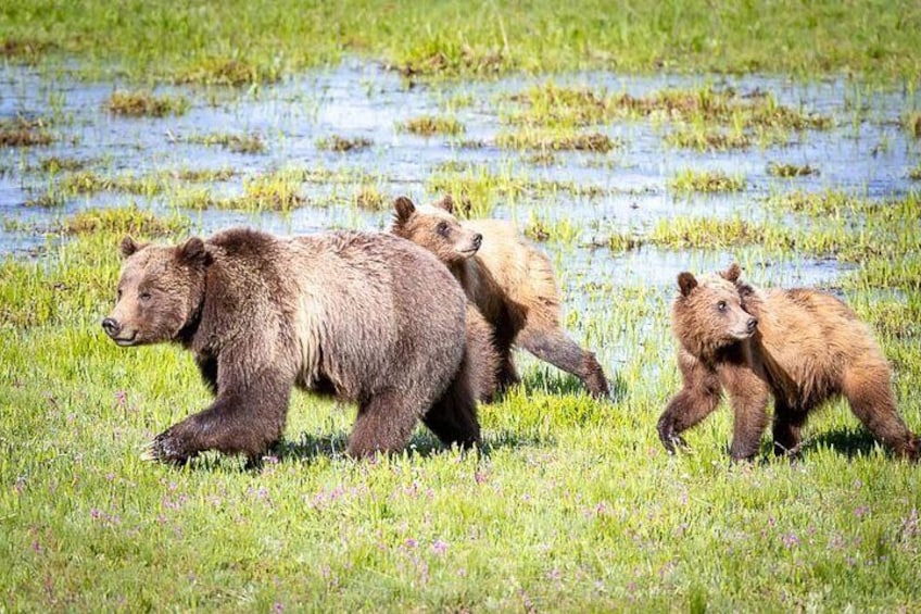 Photo by Loren Davis