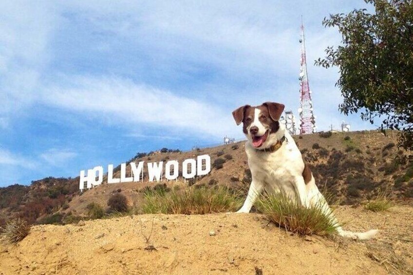 GRIFFITH PARK HOLLYWOOD HILLS HIKE