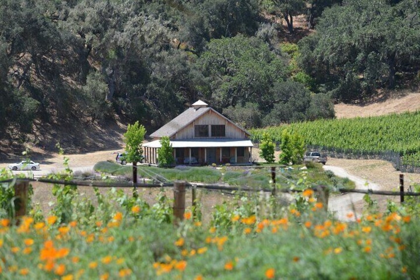 Authentic and Boutique Santa Barbara Wine Tour Experience