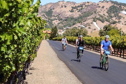Calistoga Country Bike and Wine Tasting Tour