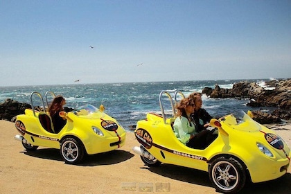 1-Hour Monterey and Cannery Row Sea Car Tour