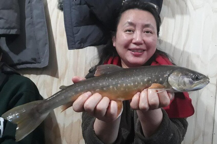 Beautiful Arctic Char caught through 4 feet of ice.