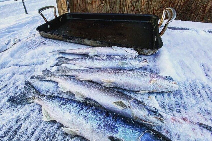 Quick and Easy Ice Fishing at Chena Lake