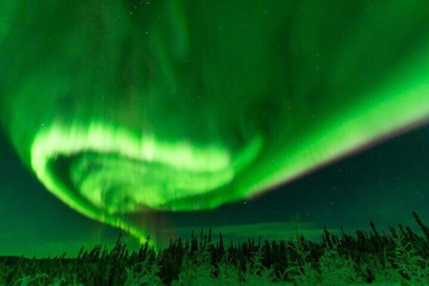 Fairbanks Northern Lights Tour