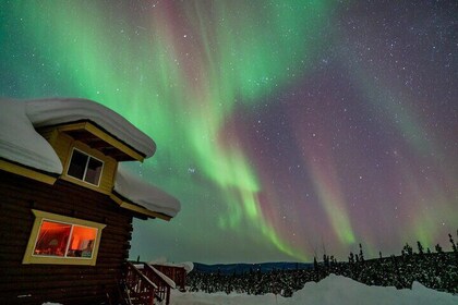 Fairbanks Northern Lights Tour