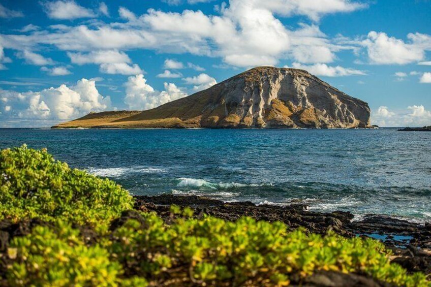 Amazing Volcanos