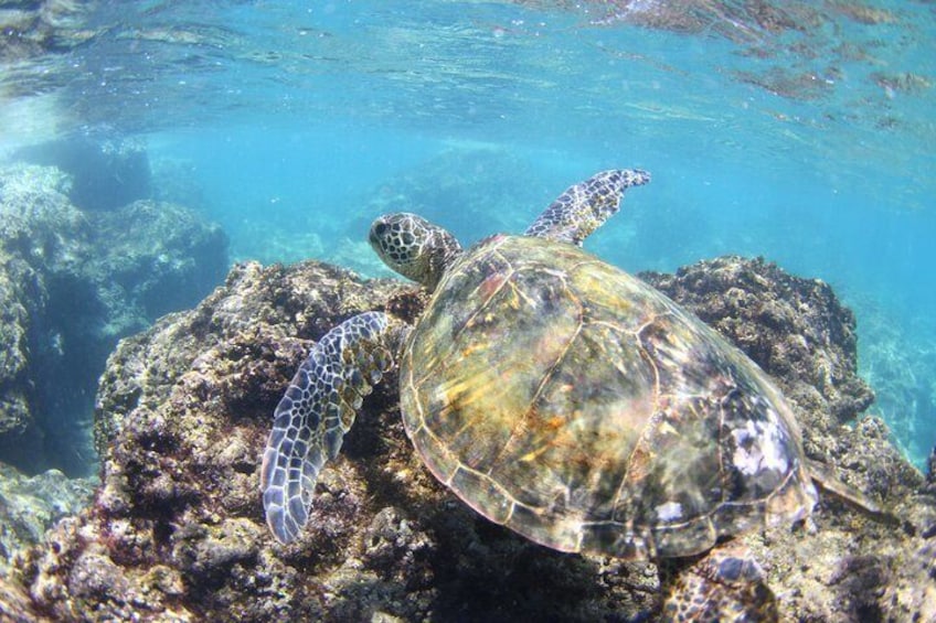 North Shore Stand-Up Paddleboard Lesson