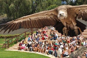 Rancho Texas Entrance Ticket in Lanzarote Including Complimentary Bus Servi...