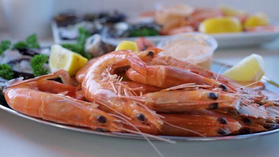 Seafood Lunch Cruise