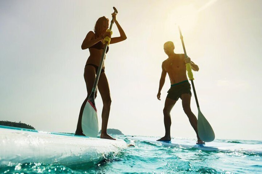 Enjoy SUPing on the Noosa River