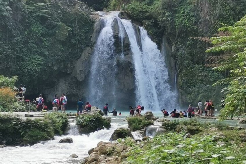 Oslob WhaleSharks w/ Tumalog Falls & Kawasan Main Falls