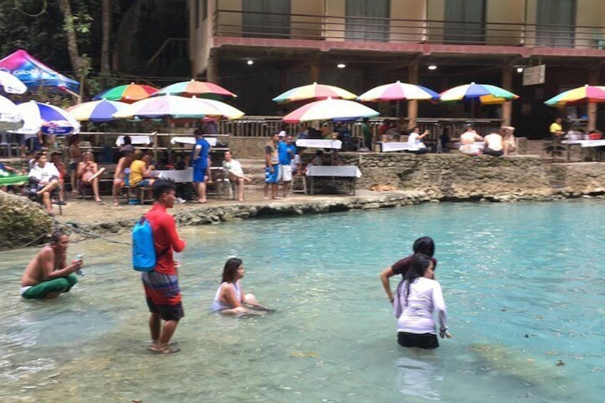Full Day Whale Shark Experience with Kawasan Falls and Tumalog Falls from Cebu