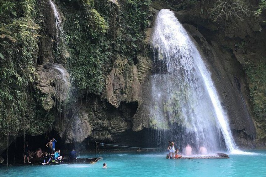 Full Day Whale Shark Experience with Kawasan Falls and Tumalog Falls from Cebu