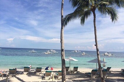 Bohol's Panglao Island Half Day Land & Half Day Island Hopping (Cebu or Boh...