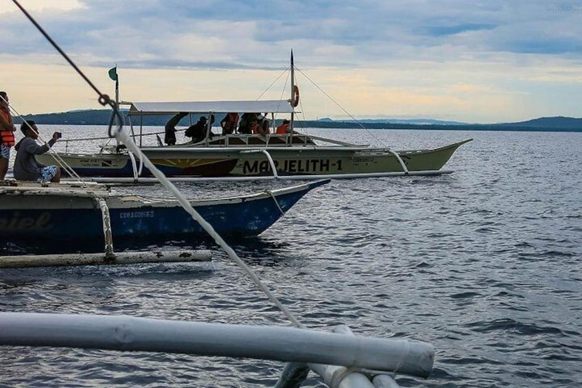 Bohol Island Hopping