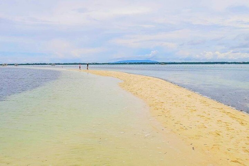 Bohol Island Hopping