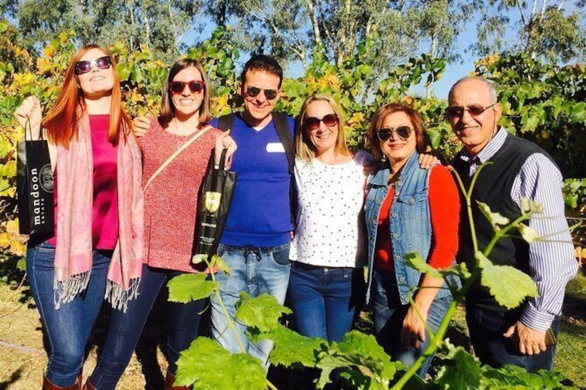 Swan Valley Tour from Perth: Wine, Beer and Chocolate Tastings