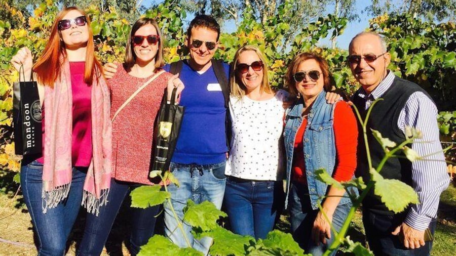 Swan Valley Wine Tour
