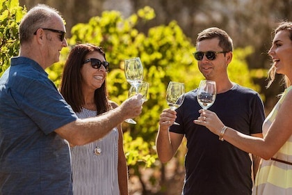 Swan Valley Boutique Wine Tour: Half-Day Small Group Experience