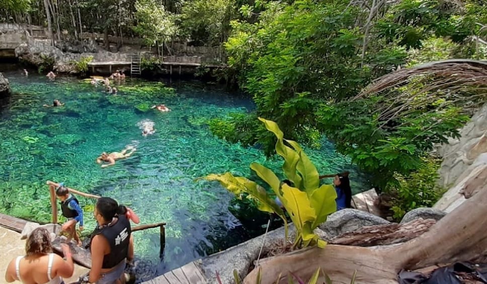 coba and cenote tour from tulum