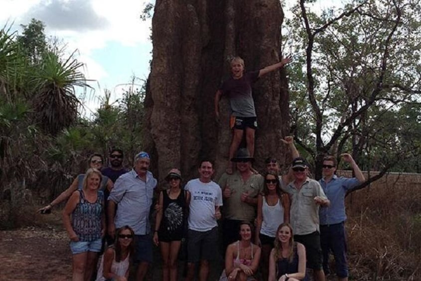 Termite Mounds