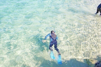 Wave Break Island Snorkel Tour on the Gold Coast