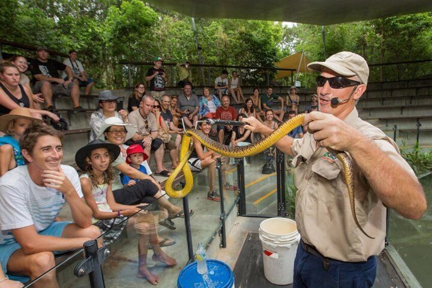 Snake Show