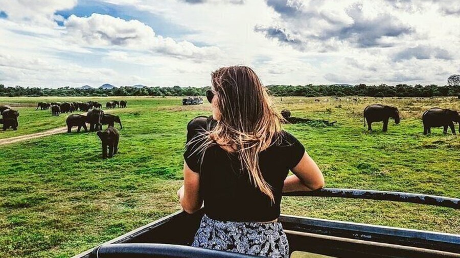 Minneriya Or Kaudulla Safari from Sigiriya