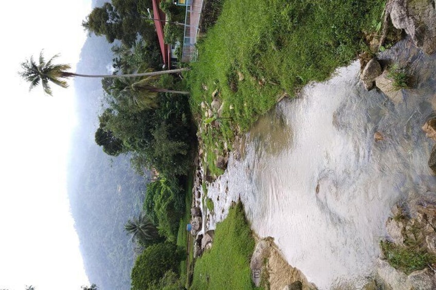 Beautiful stream in the village