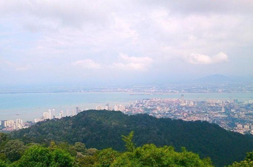 Panoramic View
