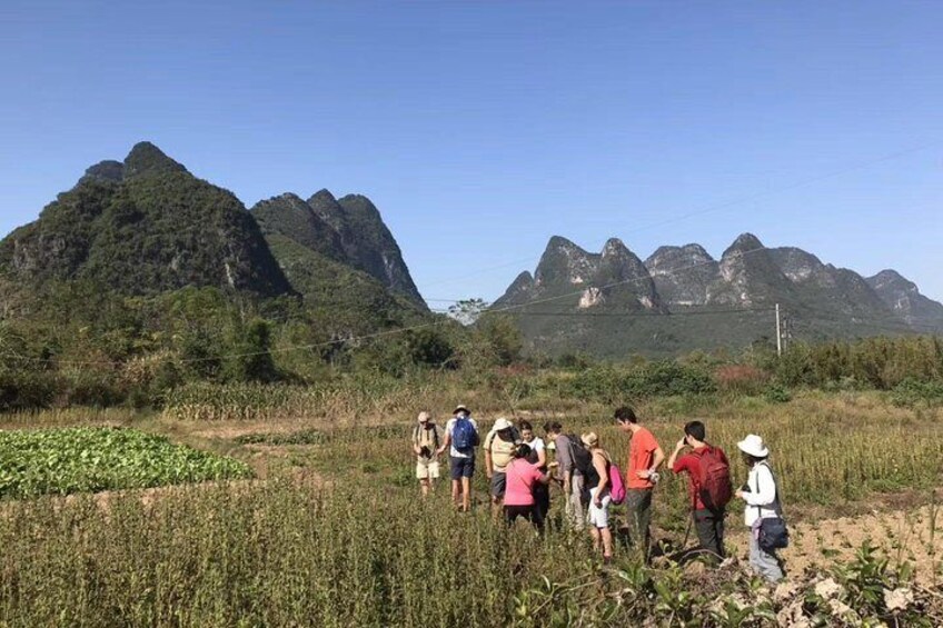 Private Tour: Yangshuo Bike Adventure including Tai Chi Lesson and Chinese Massage