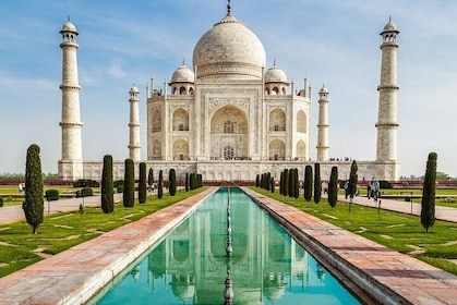 Private Day Trip to Agra includes Taj Mahal and Agra Fort from Delhi