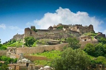 Private Day Tour Of Kumbhalgarh Fort & Wildlife Sanctuary From Udaipur