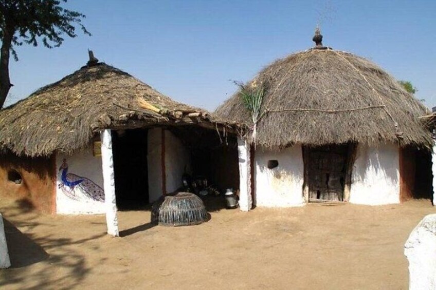 Private Tour: Village Safari Half-Day Tour In Jodhpur