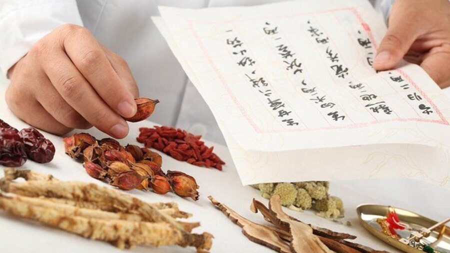 Traditional Chinese Medicine Lesson in Shanghai