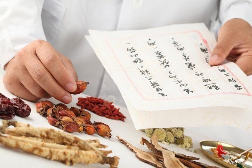 Traditional Chinese Medicine Lesson in Shanghai