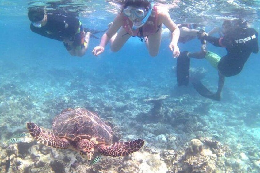 Bali Blue lagoon snorkeling with all inclusive tour