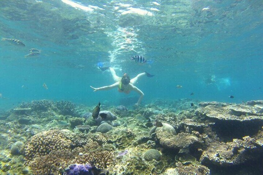 Bali Blue lagoon snorkeling with all inclusive tour