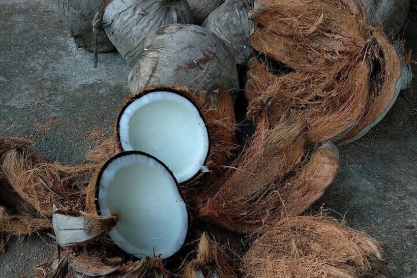 Make Traditional Bali Coconut Oil with a Balinese Family
